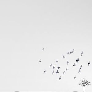 Meet your Posher, Kristy